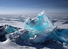 詹姆斯现身上海交大